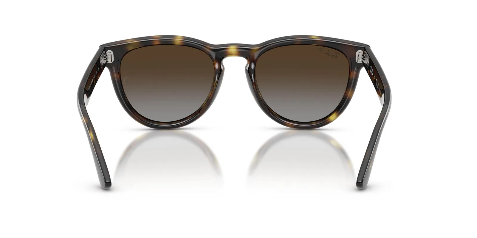 Ray-Ban 2237 Sunglasses - view 40
